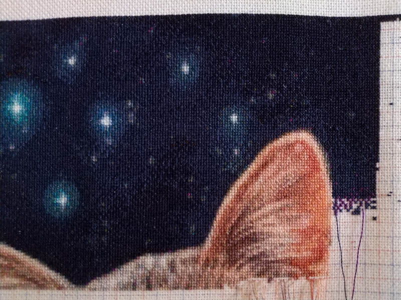 The Fortune Teller Max Colors