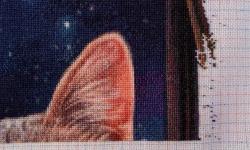 Featured image of post The Fortune Teller Max Colors 16+17