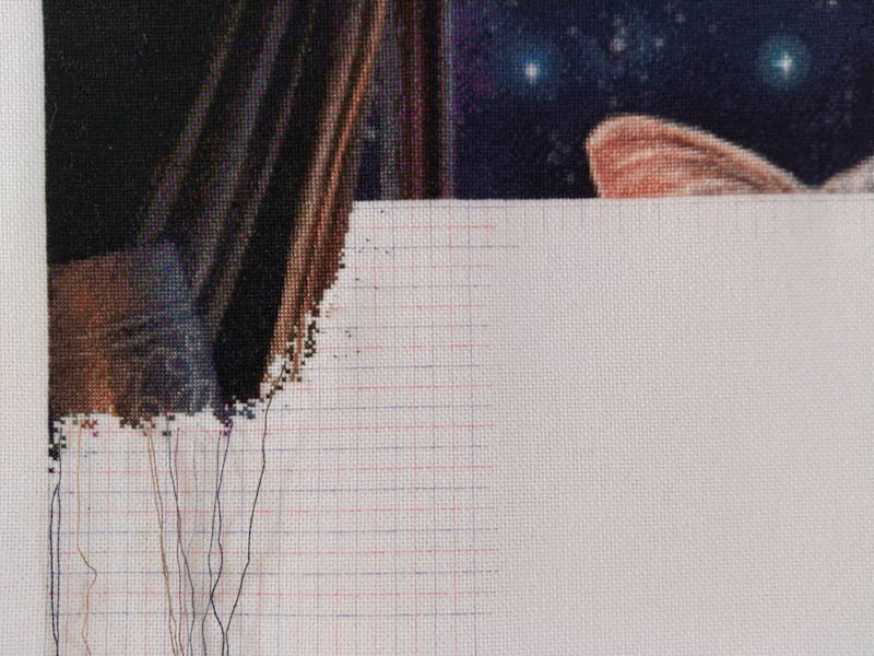 The Fortune Teller Max Colors